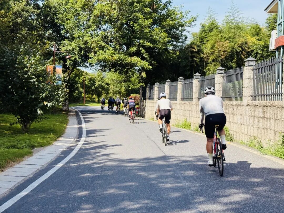 MCC816G530双桥绕圈318对讲机试用