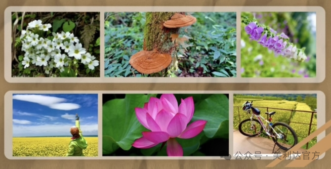 [2024-12-19]骑行不止如此车友故事征集三姐妹的骑行时光