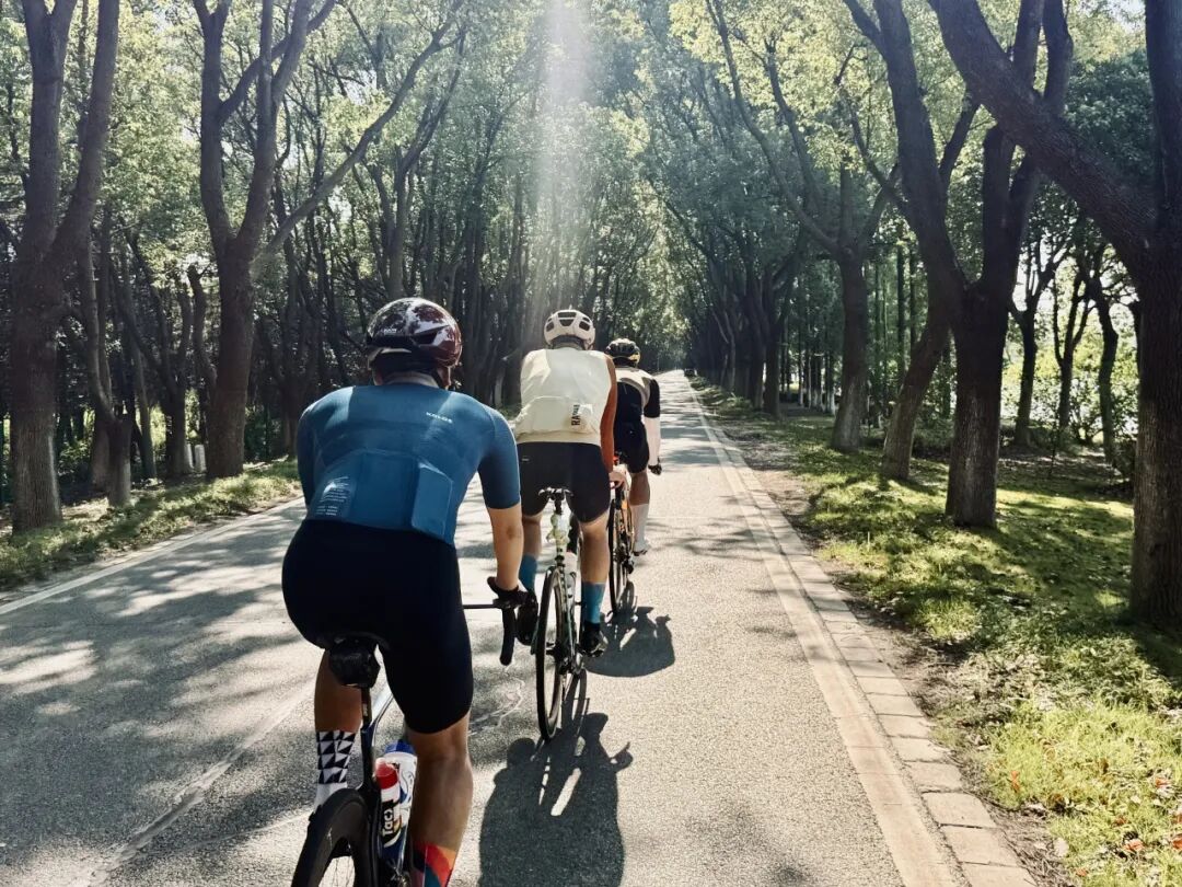 MCC710G530龙腾大道晨骑