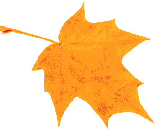 [2024-04-16]全新上市2025索尼克2