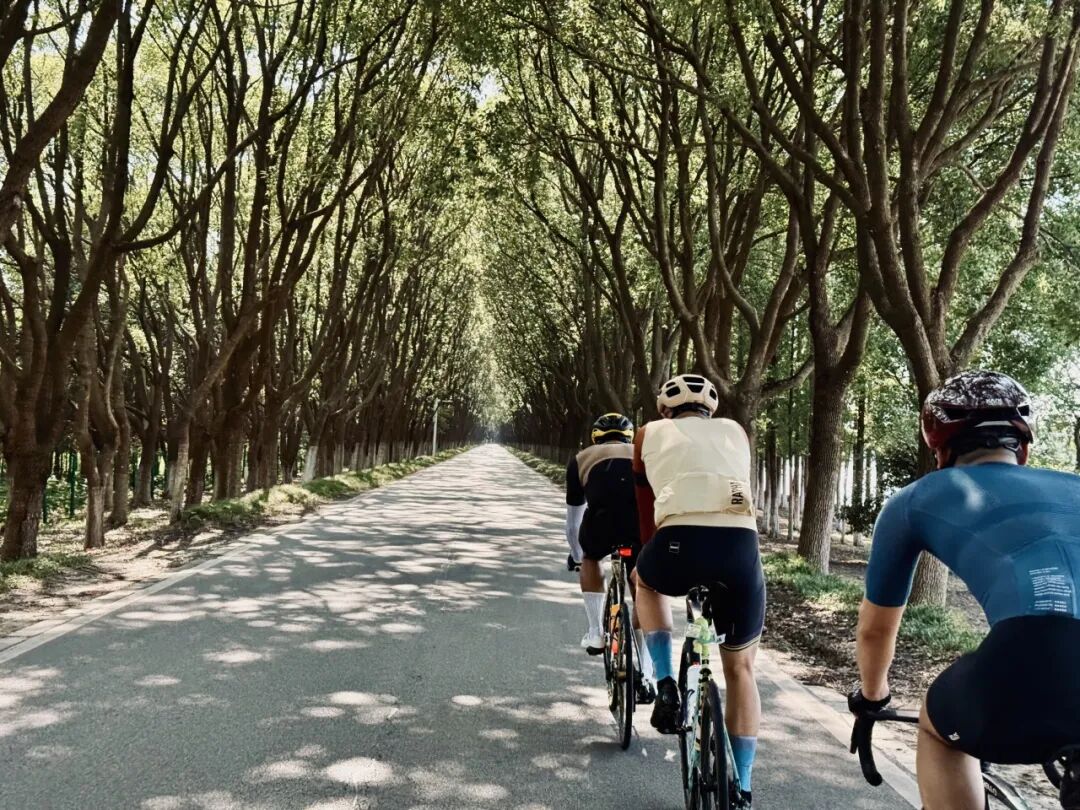 MCC710G530龙腾大道晨骑