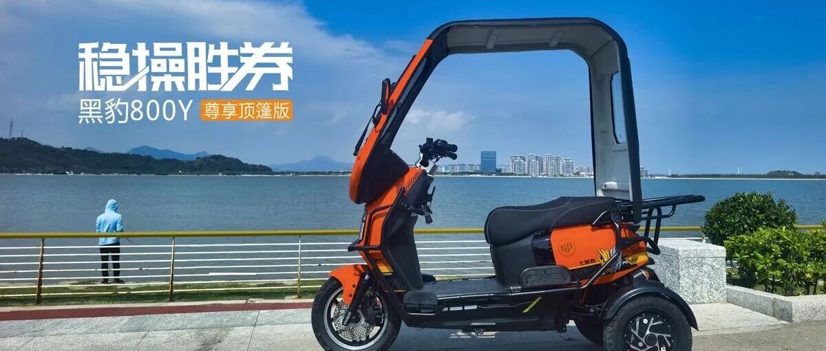 稳操胜券—黑豹800（顶篷版）