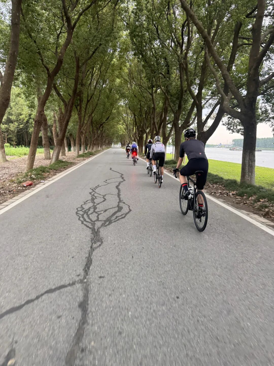 MCC816G530双桥绕圈318对讲机试用