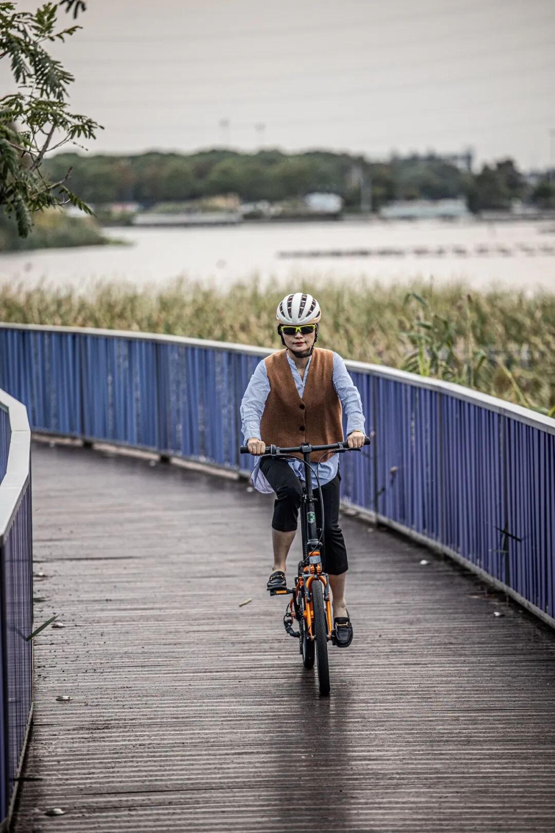 终极大魔王经典再续ARCHERP8折叠车横向测评