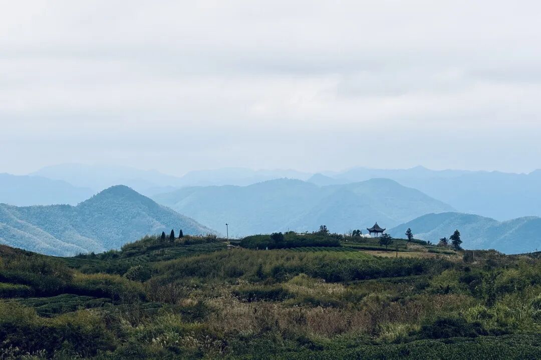 [2025-11-10]MCC长三角1115莫干山爬坡