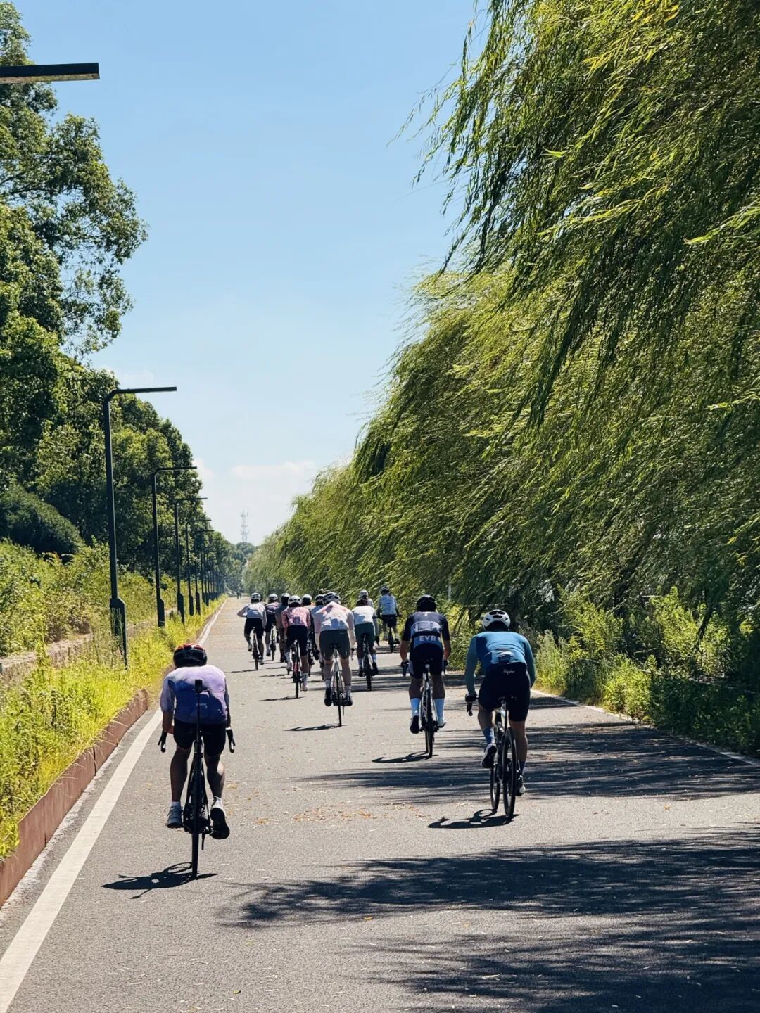 MCC长三角活动丨9697莫干山度假骑游