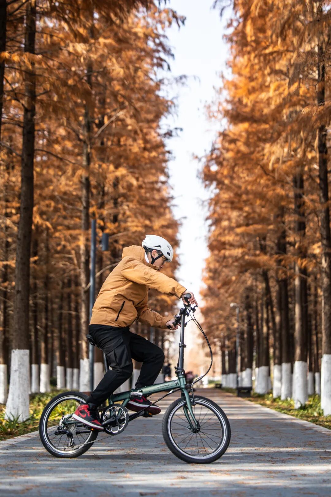 [2025-05-28]高速大沙发性能小钢炮DAHON大行ARCHERP8折叠车横向测评