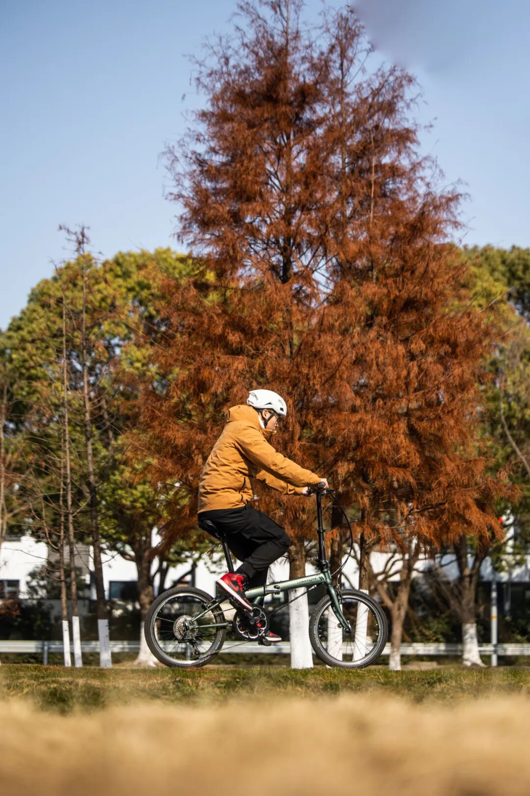 [2025-05-28]高速大沙发性能小钢炮DAHON大行ARCHERP8折叠车横向测评