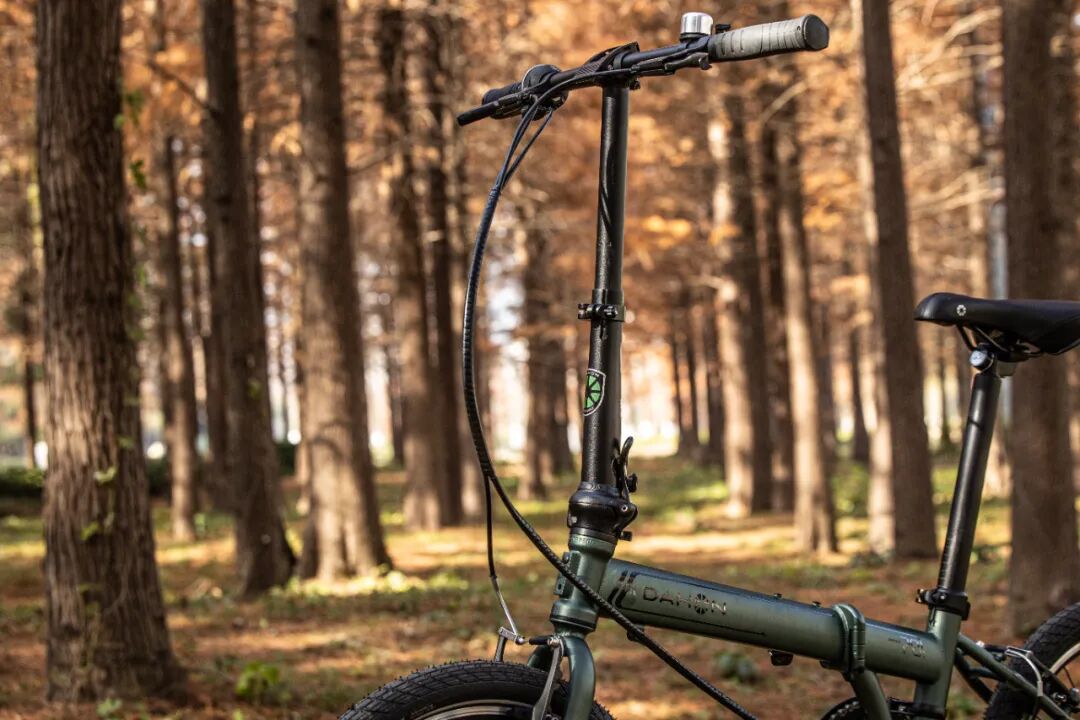 [2025-05-28]高速大沙发性能小钢炮DAHON大行ARCHERP8折叠车横向测评