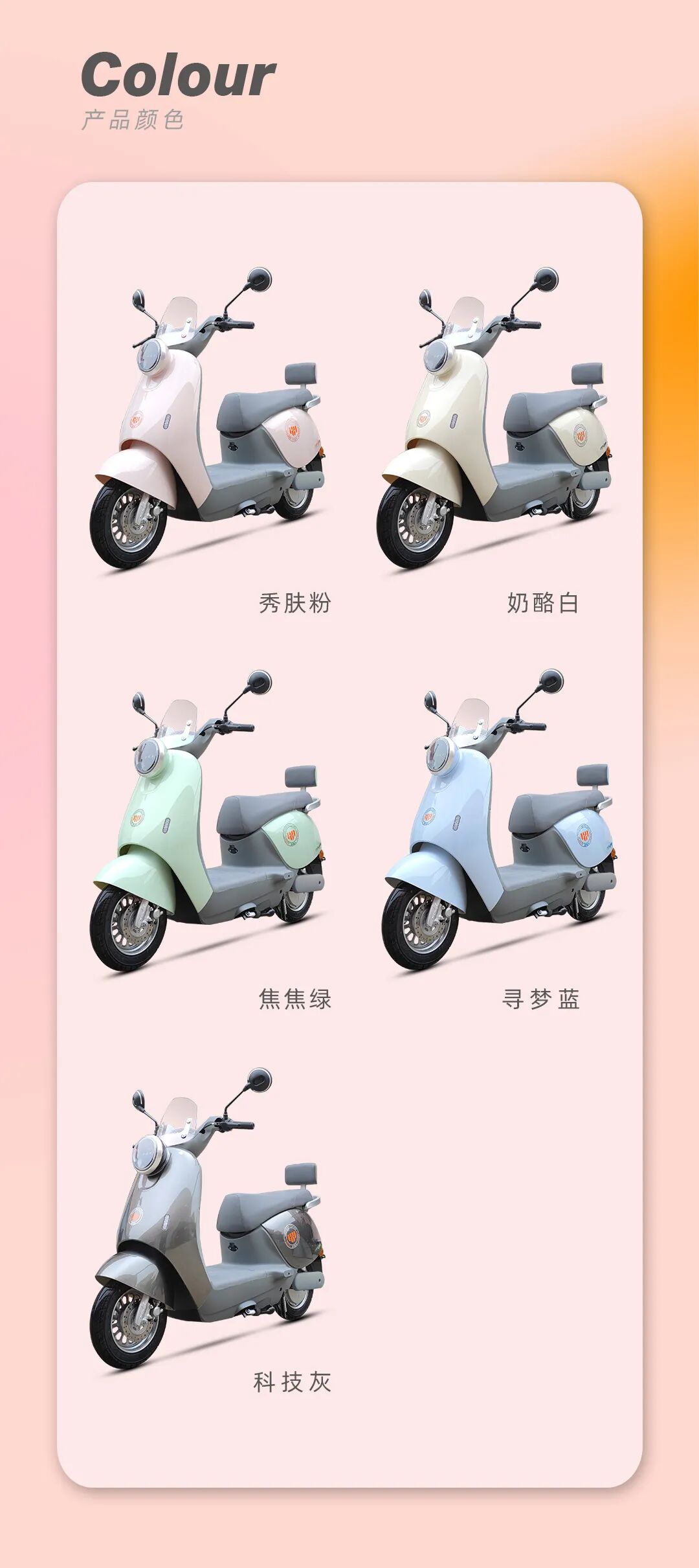 [2024-11-27]博美DQ1元气精灵靓丽出行