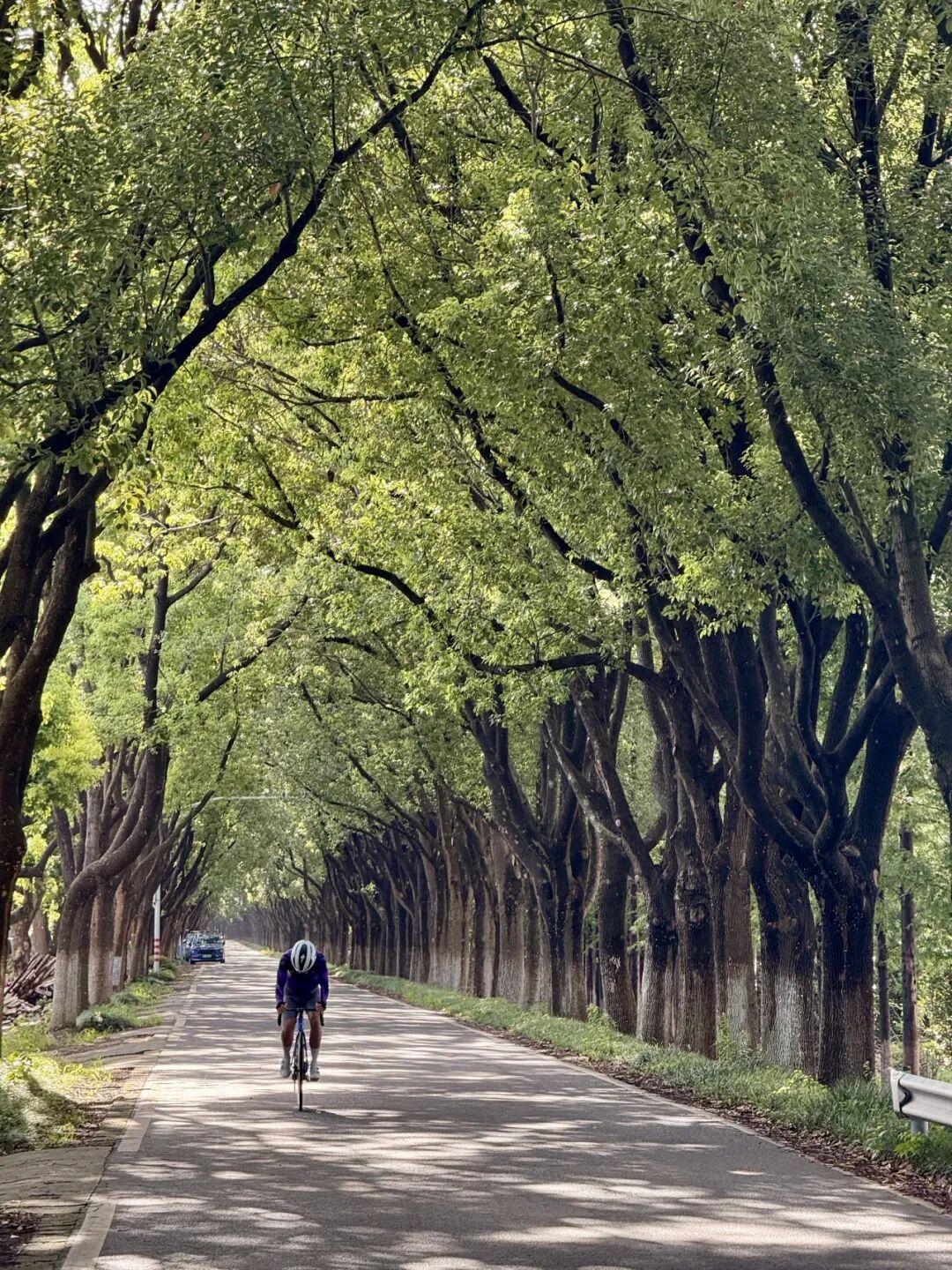 MCC724G530晨骑苗江路绕圈