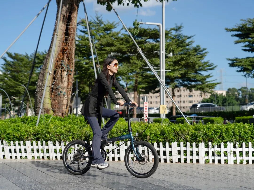 [2025-10-23]P8新手必看QampA折叠骑行检查一篇搞定