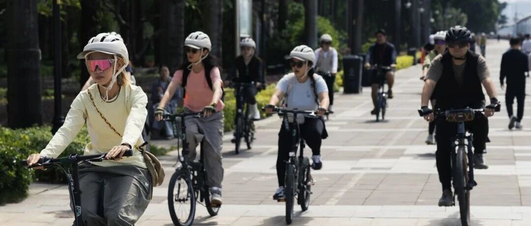 告别选择困难：新手的第一台折叠车，答案就是大行P8