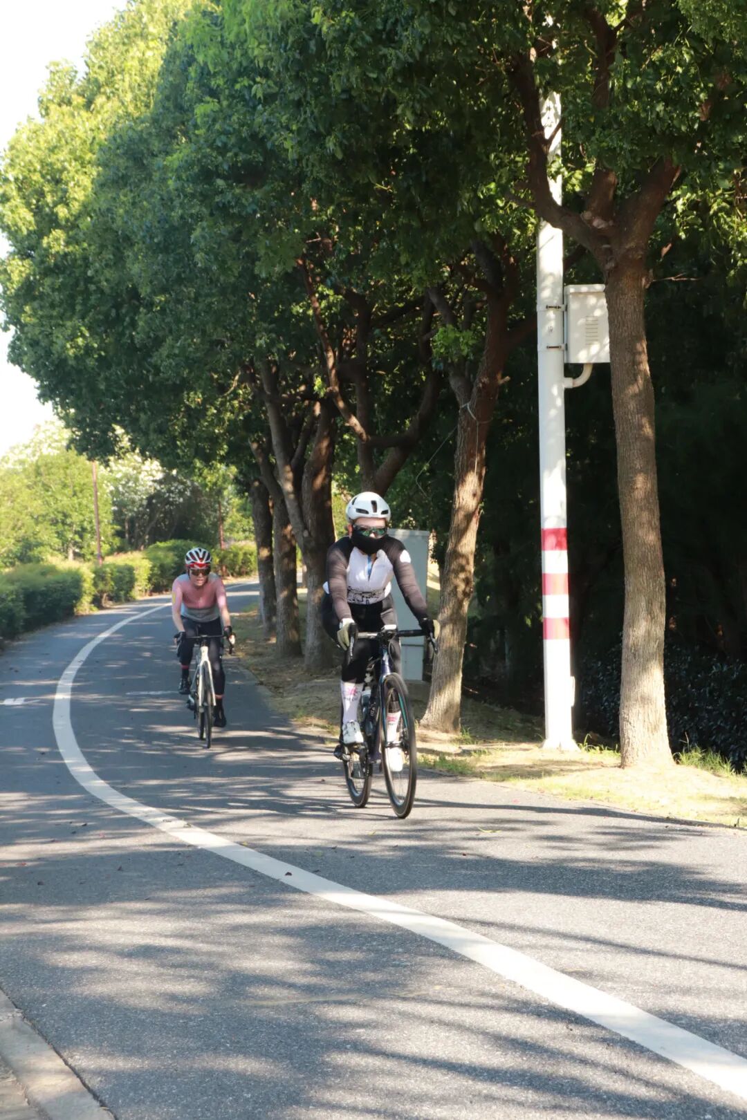 MCC710G530龙腾大道晨骑