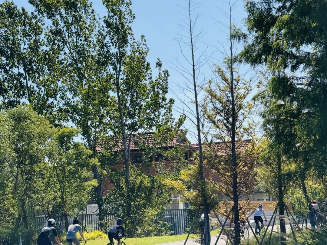 MCC长三角活动丨9697莫干山度假骑游