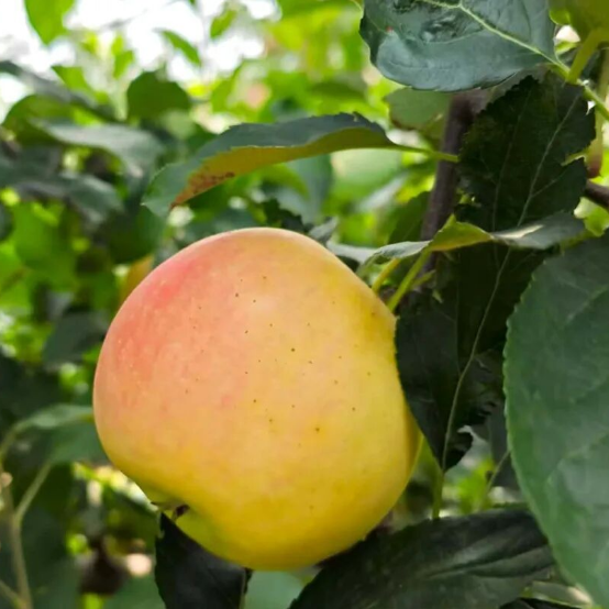 [2025-10-22]赛道介绍丨TREK100北京站