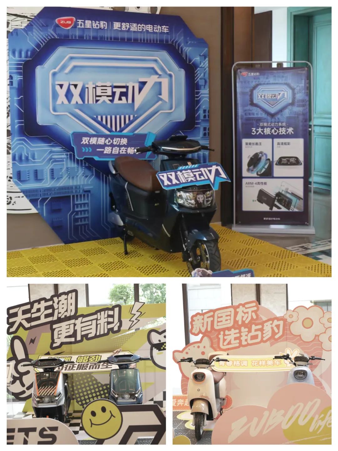 [2023-05-16]战终端破时局五星钻豹嘉兴运营中心授牌仪式圆满成功