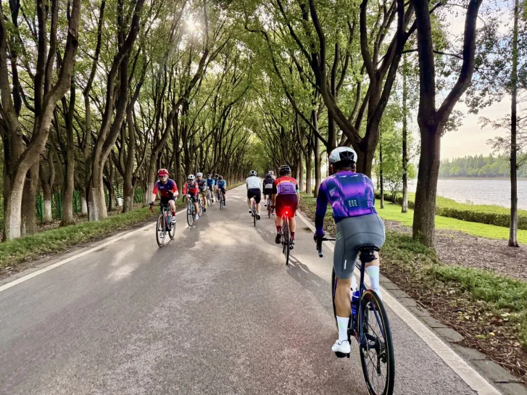 MCC816G530双桥绕圈318对讲机试用