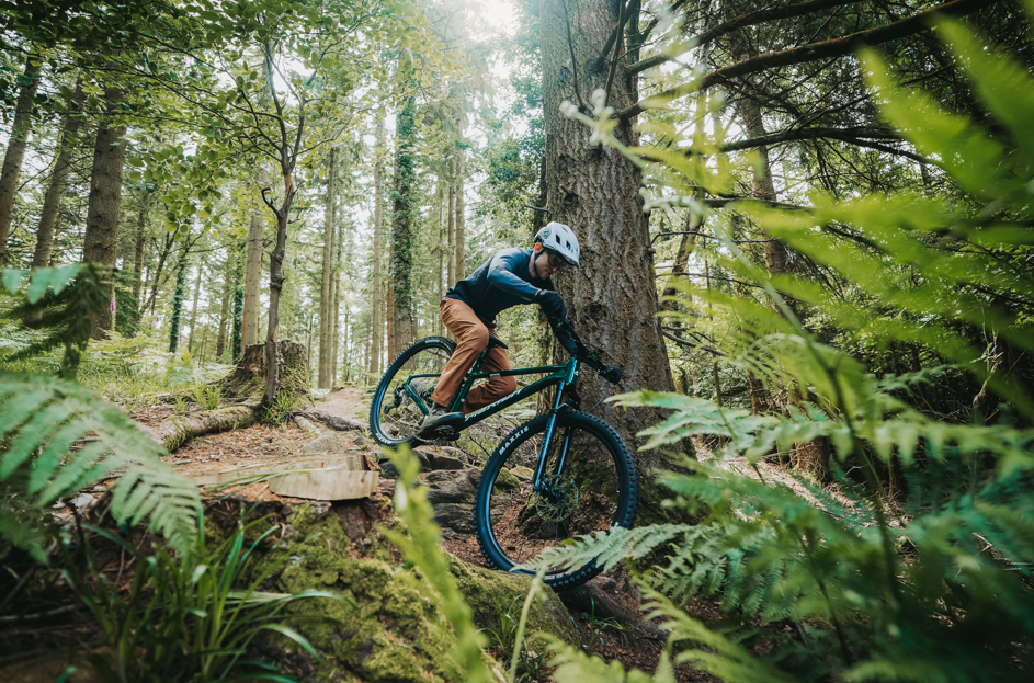 [2025-08-04]单盘征服越野新生美利达挑战者600
