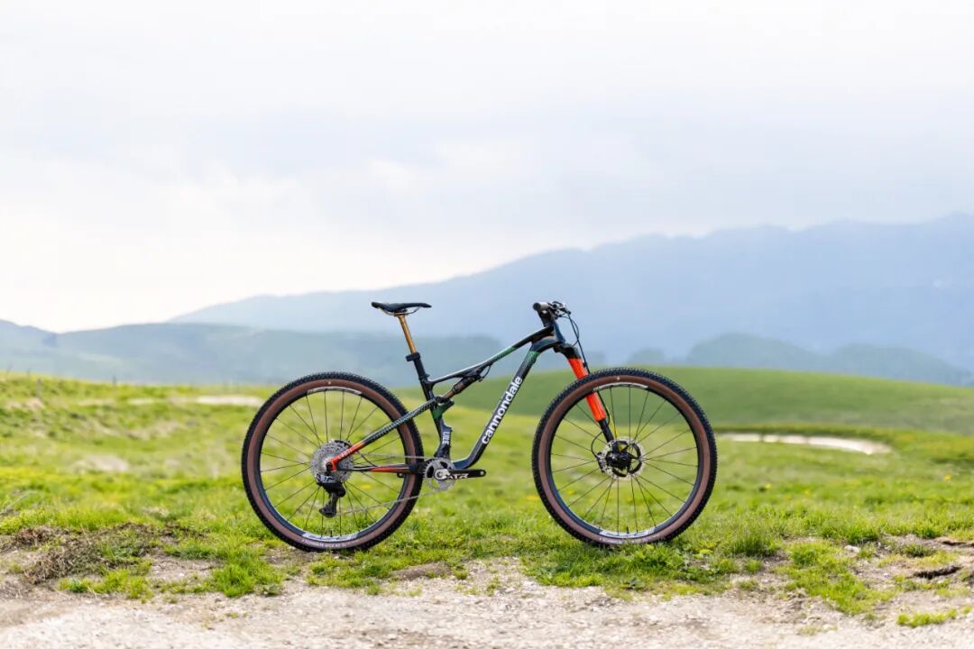 [2025-06-05]震撼来袭CY25LAB71ScalpelCFR队版发布