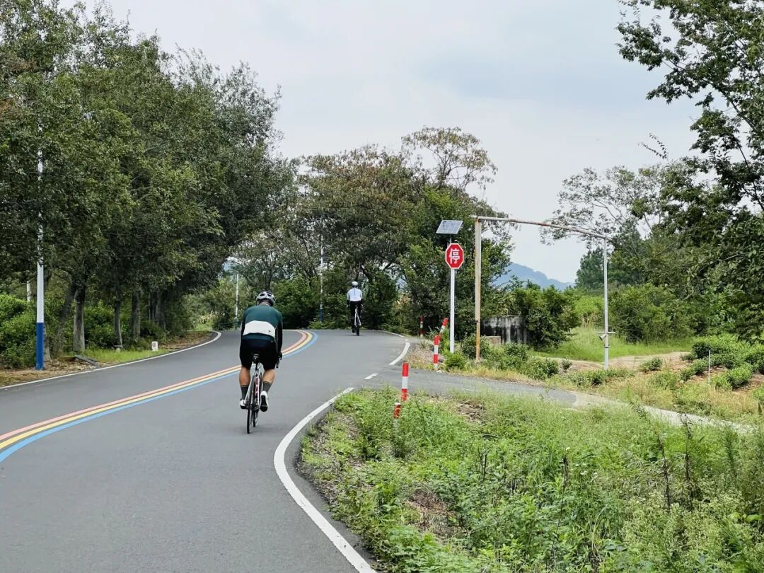 MCC927朱家角稻香咖啡骑