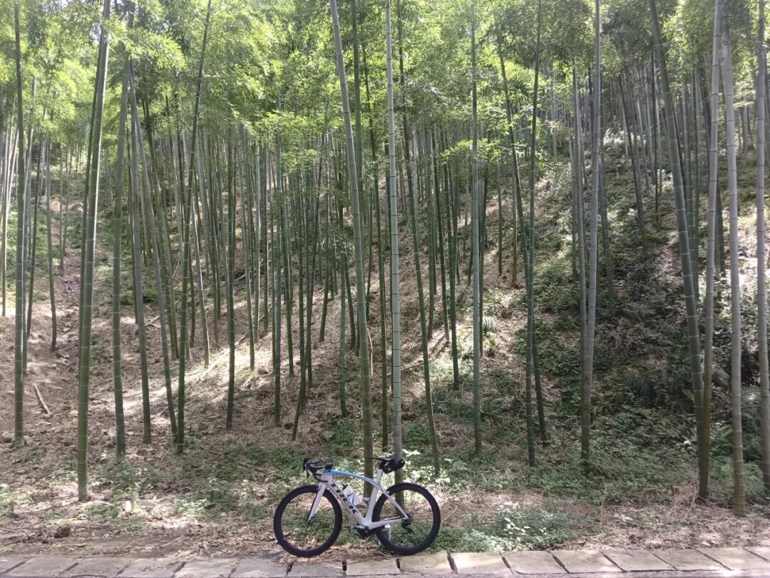 MCC816G530双桥绕圈318对讲机试用