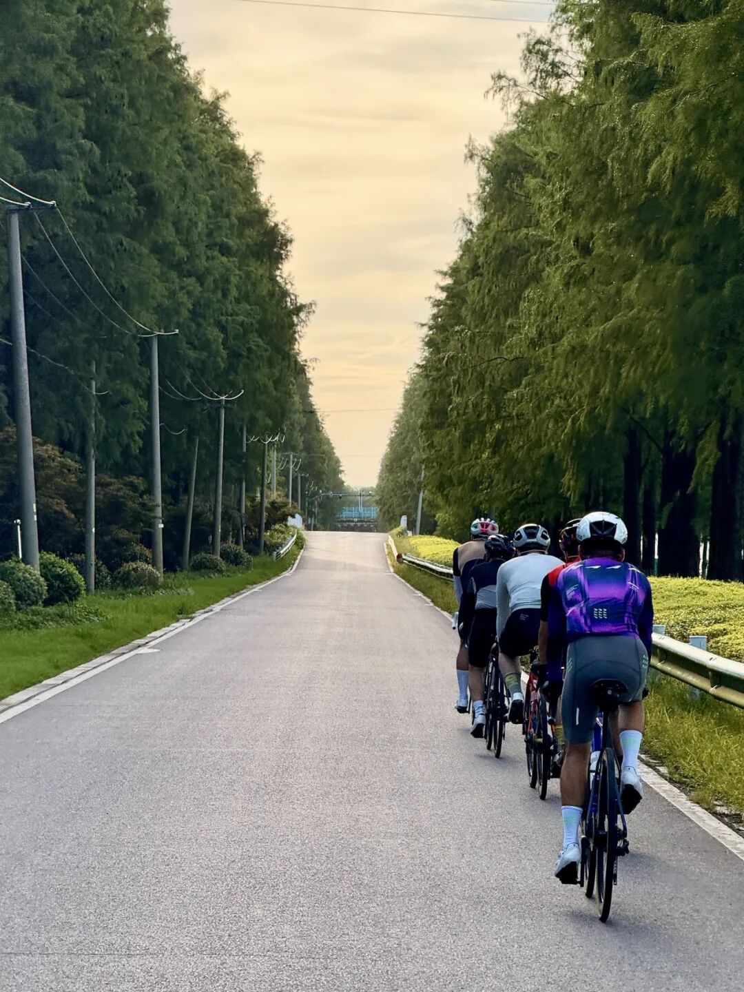 MCC724G530晨骑苗江路绕圈