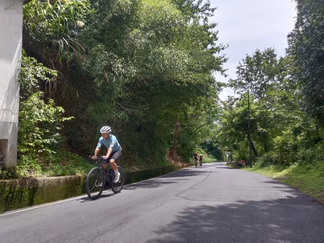 MCC816G530双桥绕圈318对讲机试用