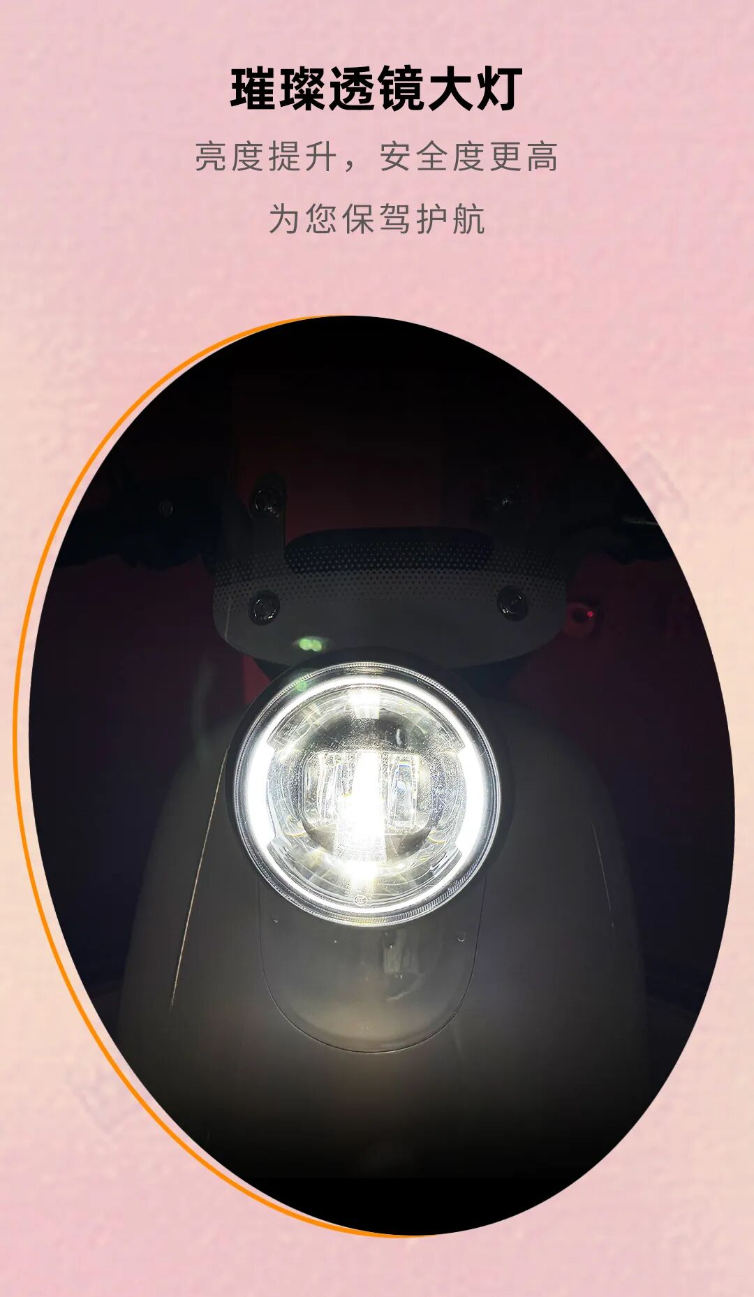 [2024-11-27]博美DQ1元气精灵靓丽出行