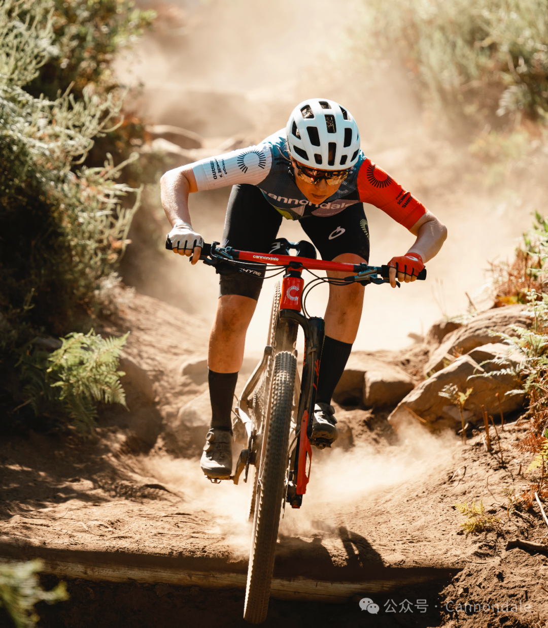 Scalpel一直在最前沿