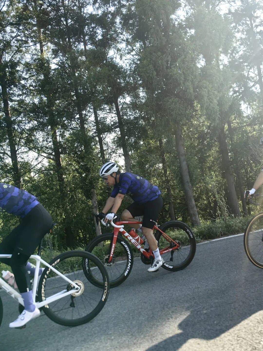 MCCPowster丨830G530七夕绘爱心骑行袜福利送送送