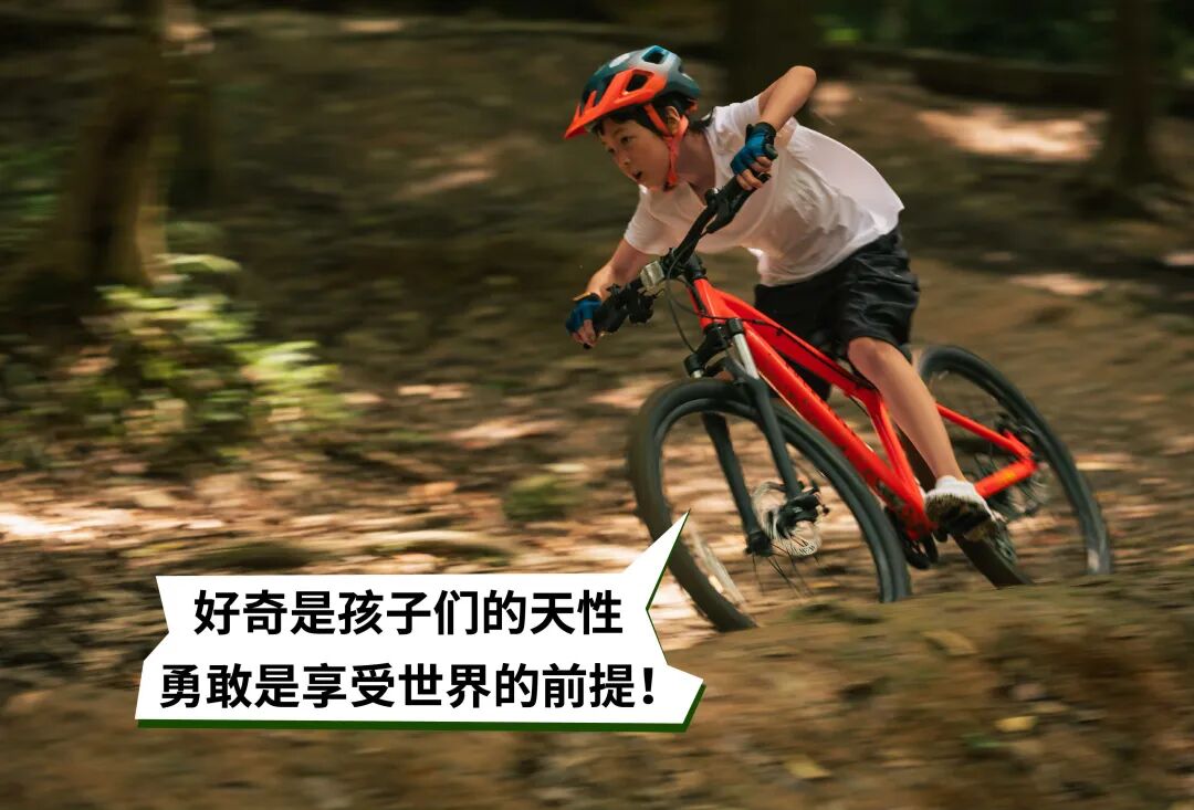 [2024-08-09]请签收你的大玩具