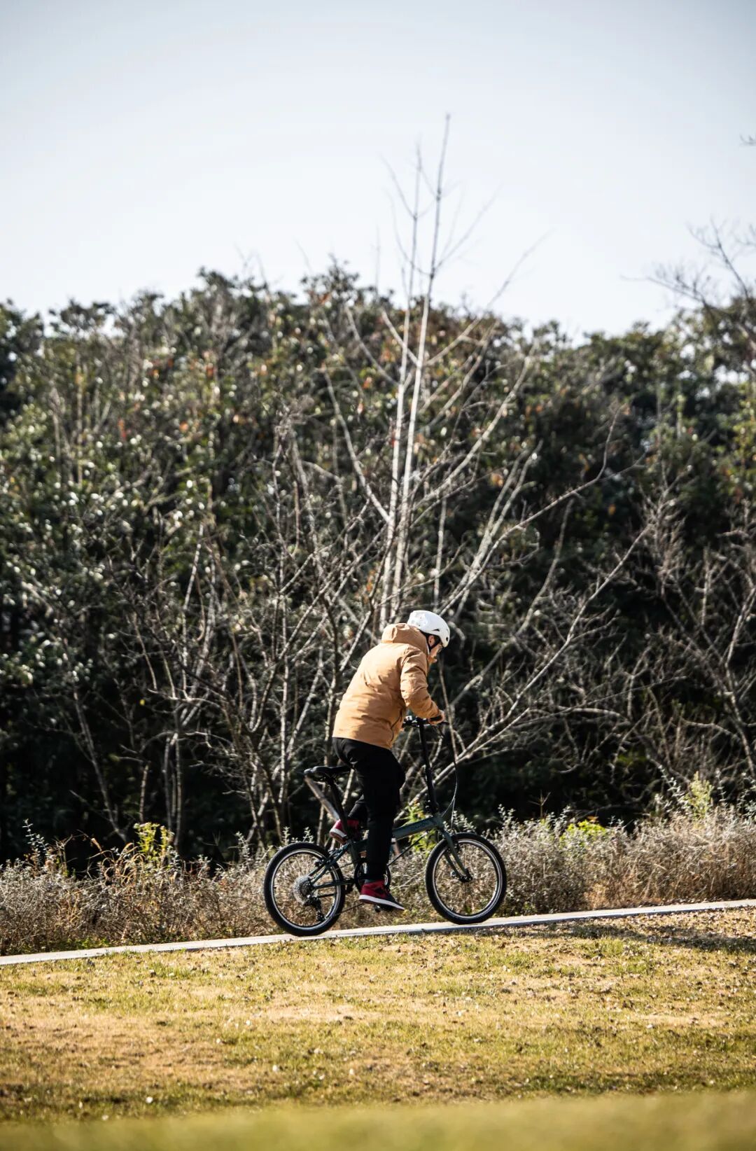 [2025-05-28]高速大沙发性能小钢炮DAHON大行ARCHERP8折叠车横向测评