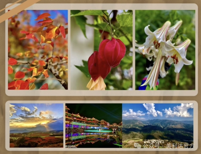 [2024-12-19]骑行不止如此车友故事征集三姐妹的骑行时光