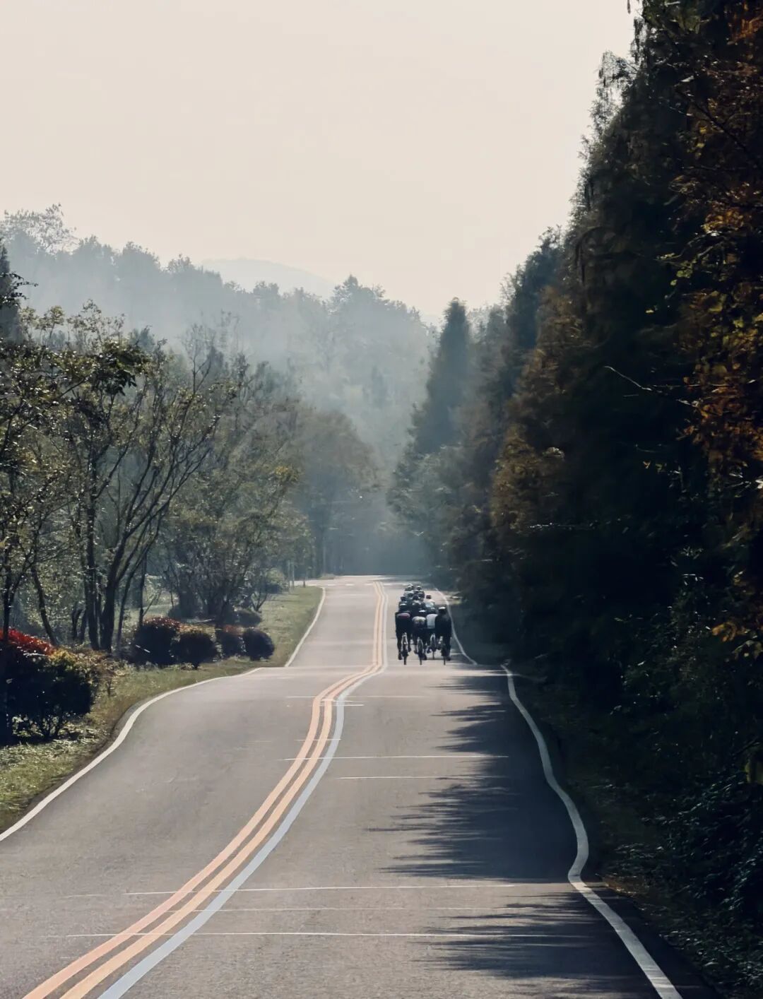 MCC长三角118绍兴爬坡