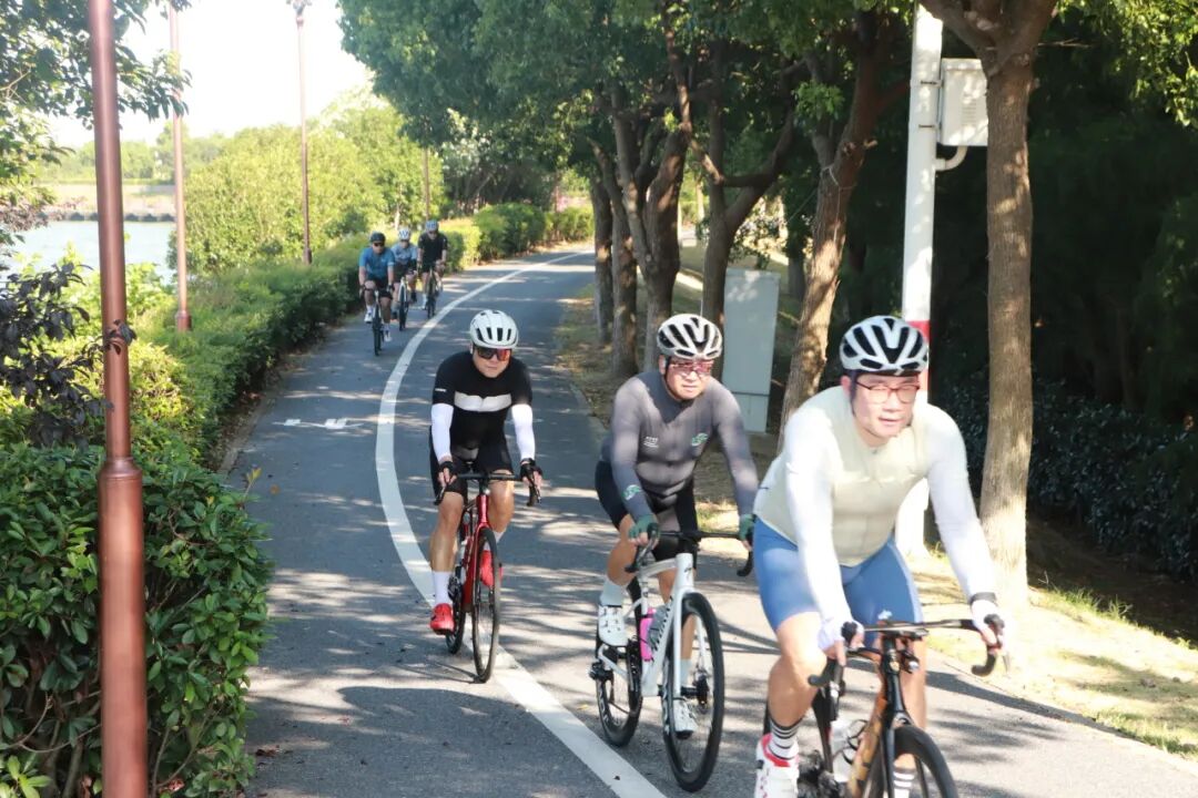 MCC710G530龙腾大道晨骑