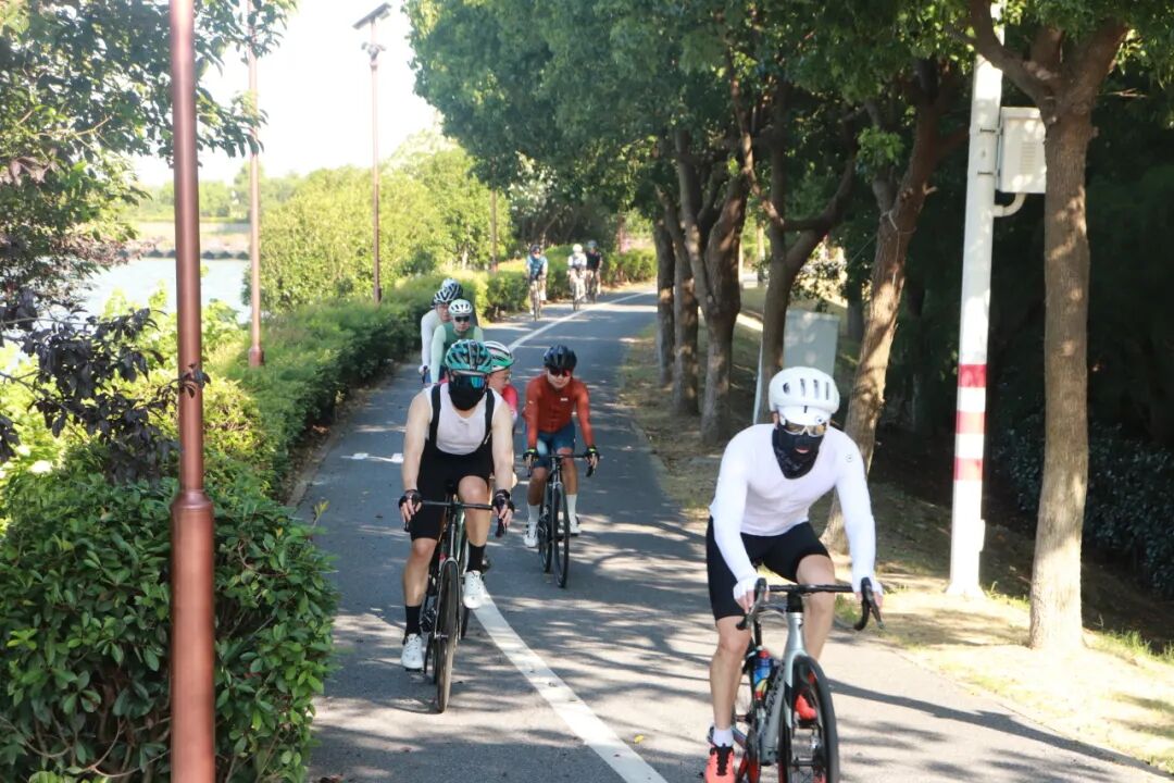 MCC710G530龙腾大道晨骑