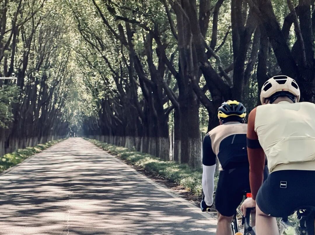 MCC710G530龙腾大道晨骑