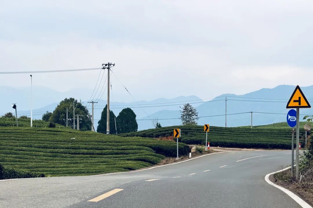 [2025-11-10]MCC长三角1115莫干山爬坡