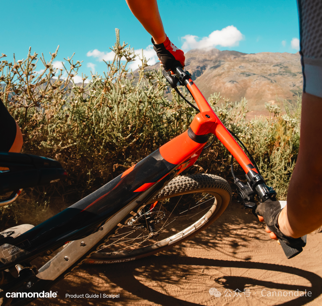 Scalpel一直在最前沿