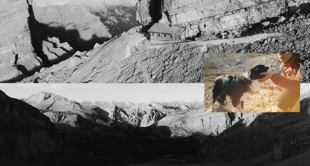 [2025-04-30]一个女孩的最佳骑行伙伴