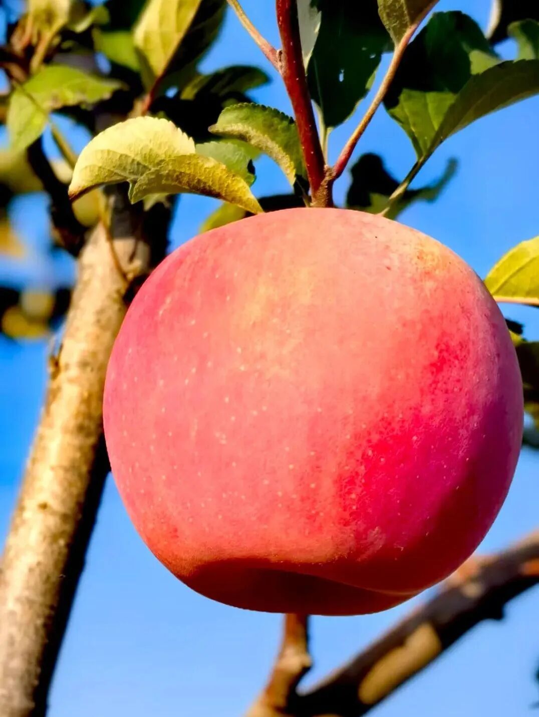 [2025-10-23]感谢有你合作伙伴丨TREK100北京站