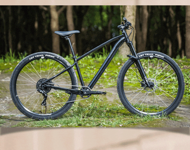 [2024-08-22]返校骑遇记