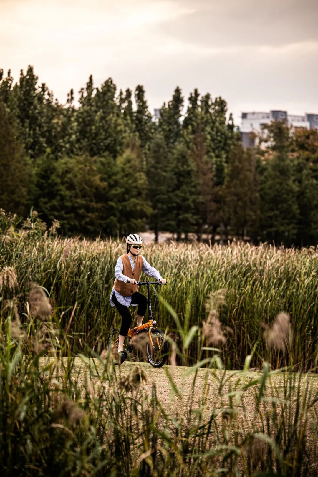 终极大魔王经典再续ARCHERP8折叠车横向测评