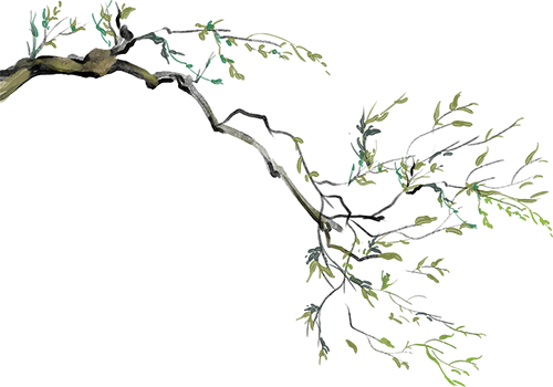 [2024-09-13]SHOCKWAVE105HD24S冲击波105HD24S全新上市