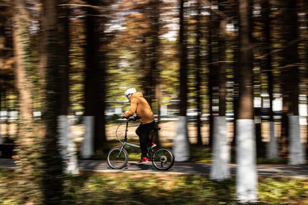 [2025-05-28]高速大沙发性能小钢炮DAHON大行ARCHERP8折叠车横向测评
