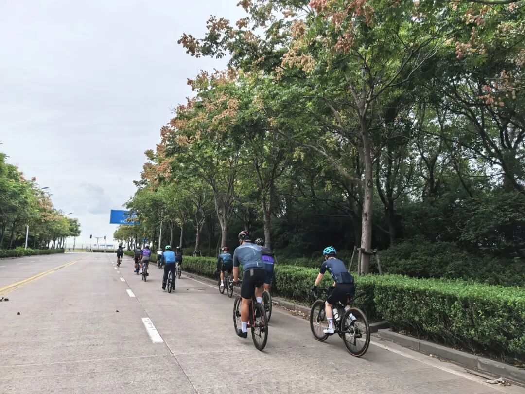 MCC927朱家角稻香咖啡骑