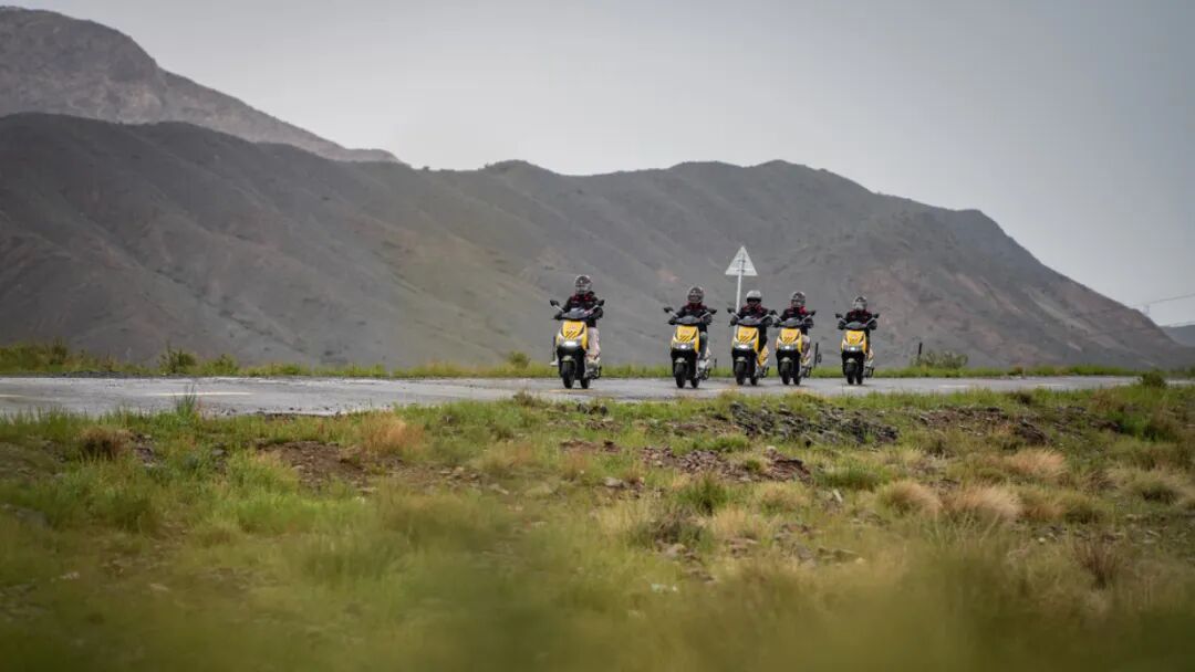 踏雪碎砂无惧淬炼五星钻豹征服西极