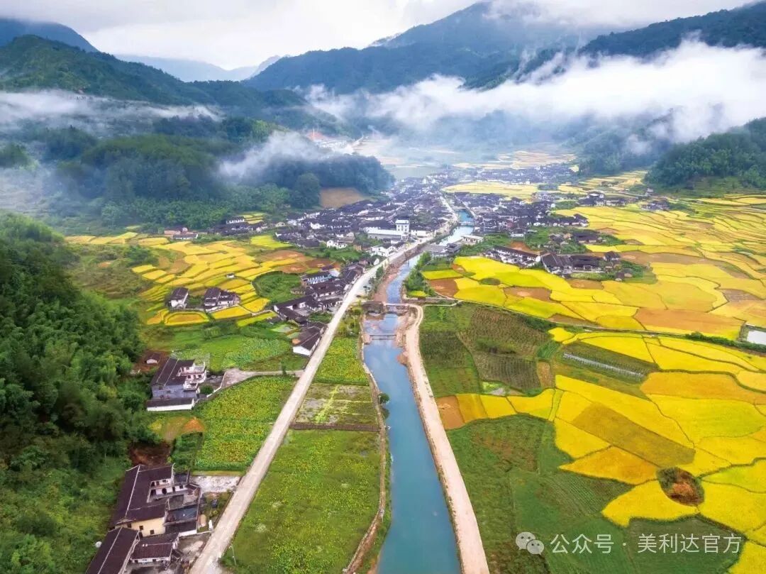 [2024-11-30]2024年龙岩市全民健身运动会新罗赛区美利达杯江山自行车爬坡赛开始报名啦