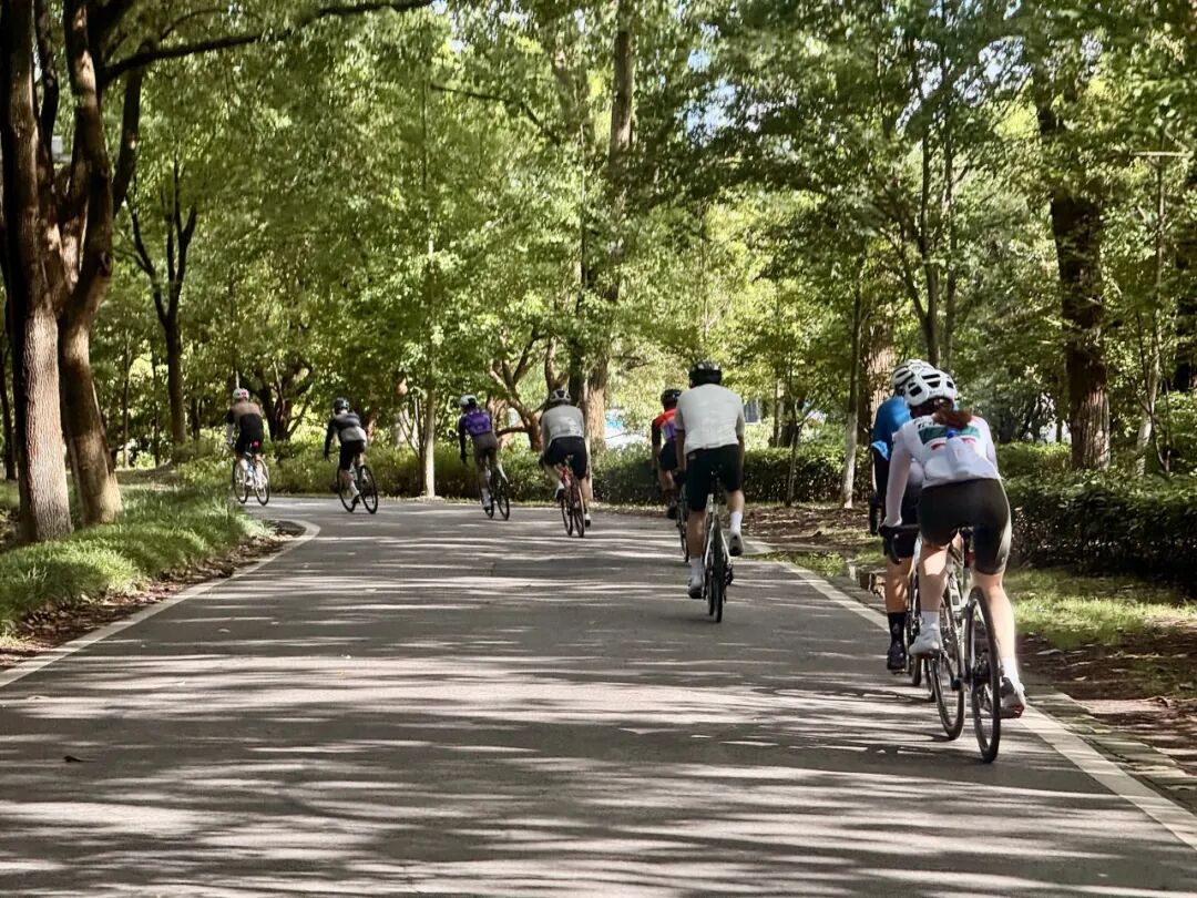 MCC816G530双桥绕圈318对讲机试用